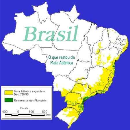 mata-atlantica-brasil