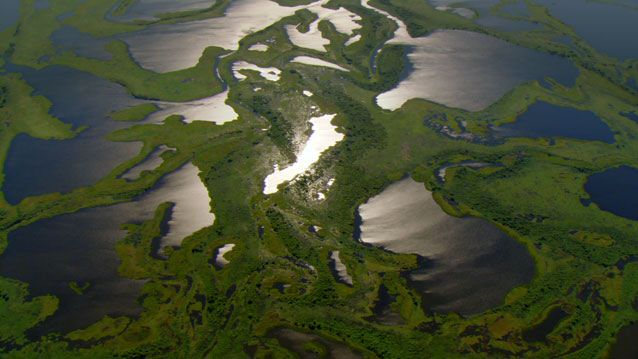 home-pantanal