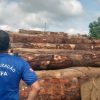 Brasilien tritt beim Weltklimagipfel mit steigenden Kahlschlägen im Amazonas-Regenwald an